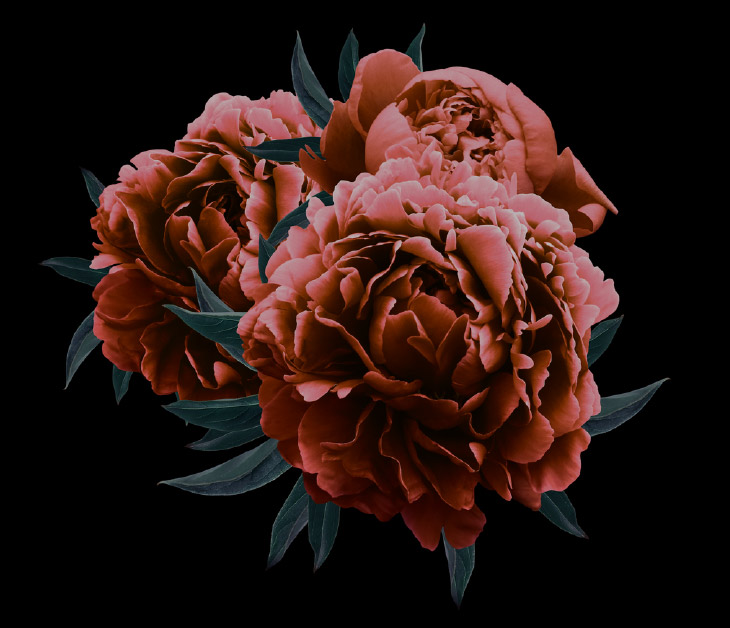 parallax-4 parallax-4